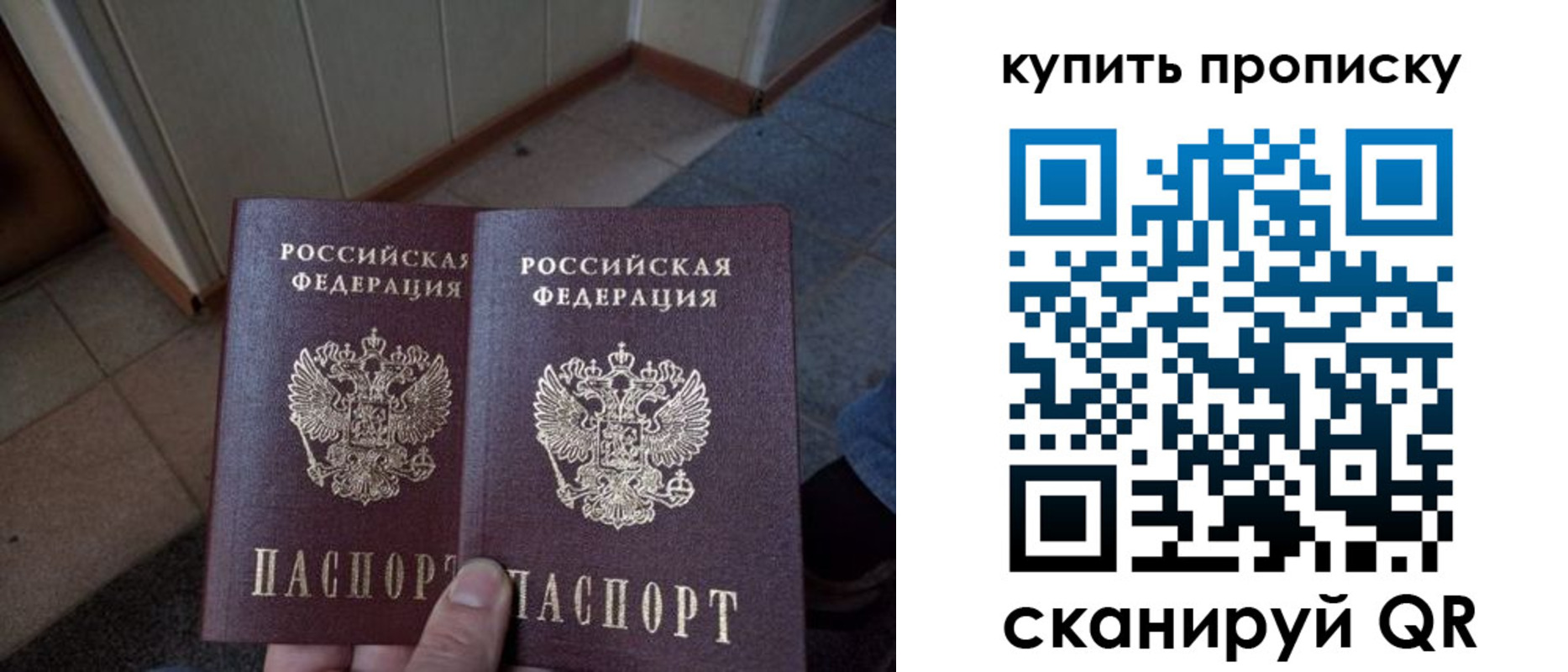 купить прописку в Архангельской области